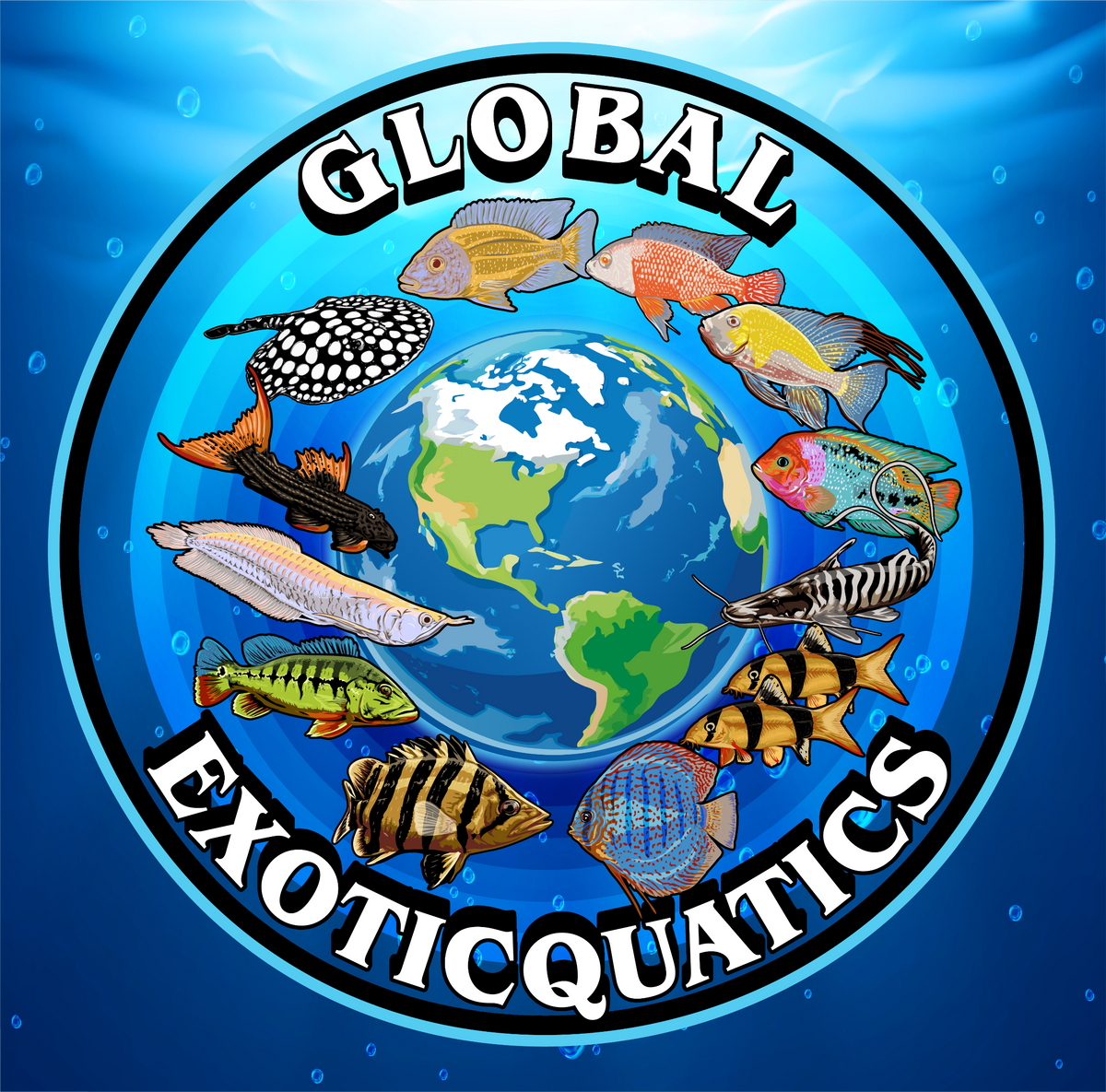 Equity Exotics Global Exoticquatics